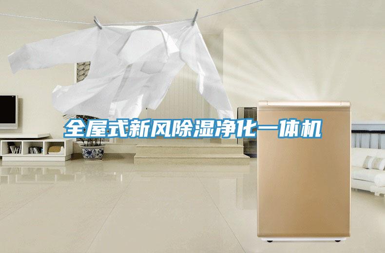 全屋式新風(fēng)除濕凈化一體機
