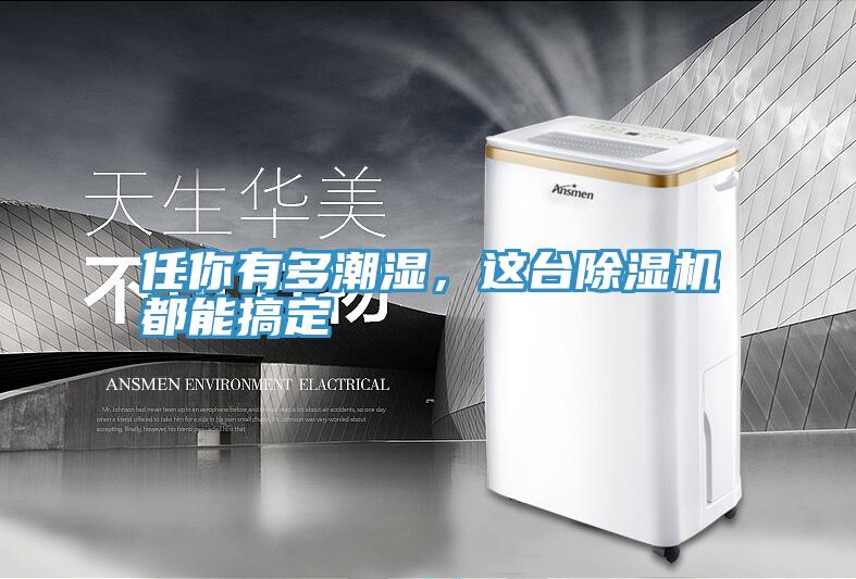 任你有多潮濕，這臺除濕機(jī)都能搞定