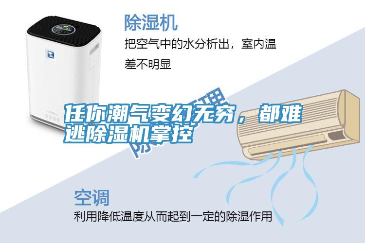 任你潮氣變幻無窮，都難逃除濕機(jī)掌控