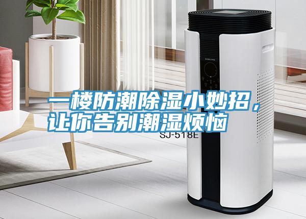 一樓防潮除濕小妙招，讓你告別潮濕煩惱