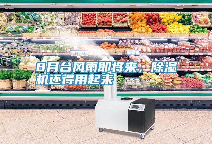 8月臺風雨即將來，除濕機還得用起來