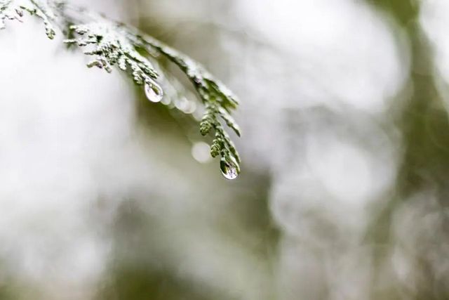 空氣濕度大帶來的危害有哪些，你知道嗎？
