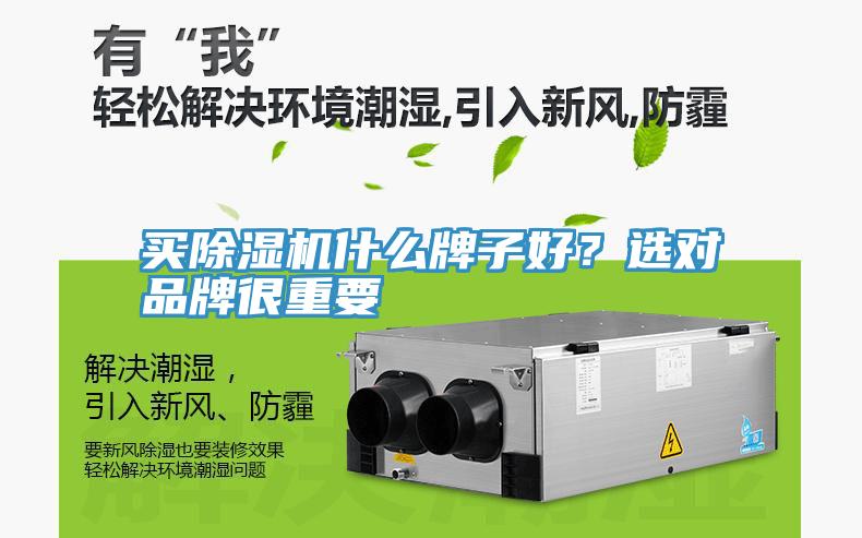 買除濕機什么牌子好？選對品牌很重要