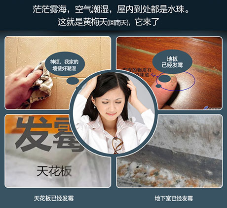 家庭別墅的地下室、衛(wèi)生間、儲物室等該如何除濕？