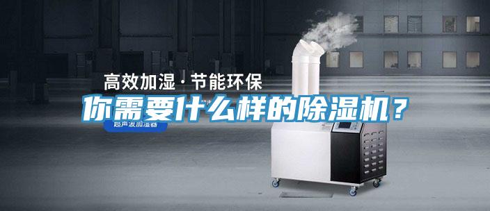 你需要什么樣的除濕機？