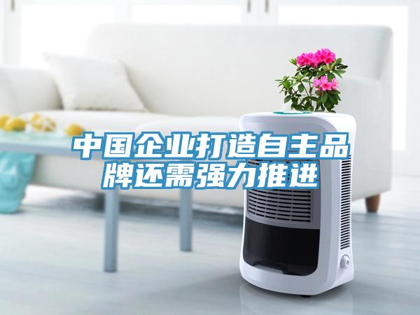 中國企業(yè)打造自主品牌還需強力推進(jìn)