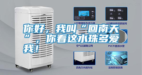 你好，我叫“回南天”，你看這水珠多愛我！