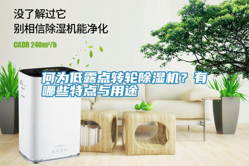 何為低露點轉(zhuǎn)輪除濕機？有哪些特點與用途