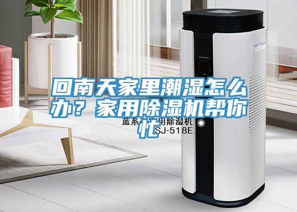 回南天家里潮濕怎么辦？家用除濕機(jī)幫你忙