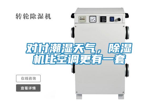 對付潮濕天氣，除濕機比空調(diào)更有一套