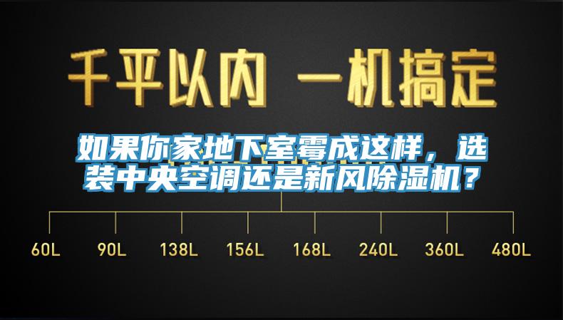 如果你家地下室霉成這樣，選裝中央空調(diào)還是新風(fēng)除濕機(jī)？