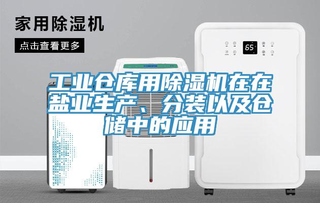 工業(yè)倉庫用除濕機在在鹽業(yè)生產(chǎn)、分裝以及倉儲中的應用