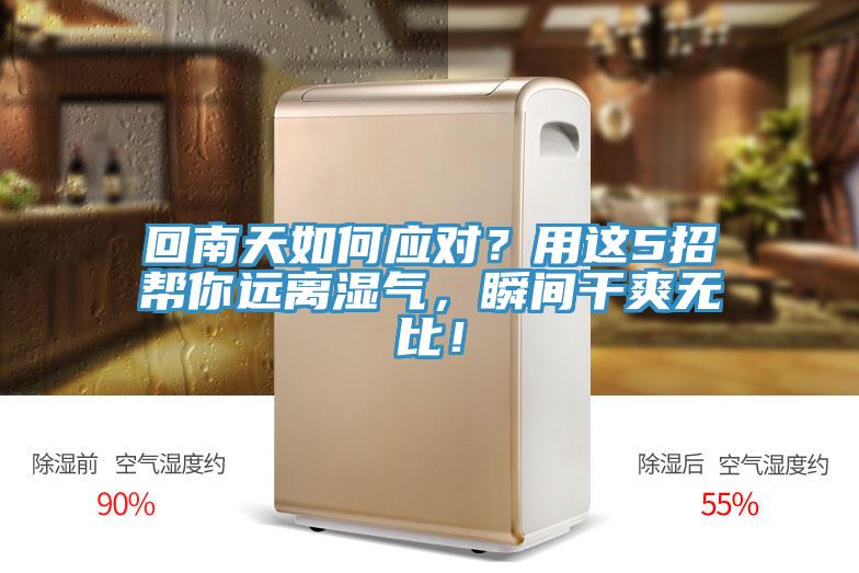 回南天如何應(yīng)對(duì)？用這5招幫你遠(yuǎn)離濕氣，瞬間干爽無(wú)比！