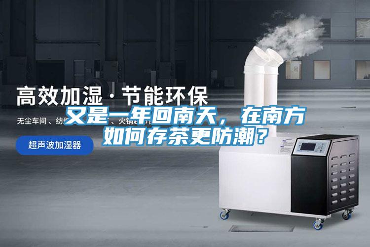 又是一年回南天，在南方如何存茶更防潮？