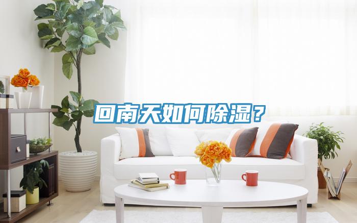回南天如何除濕？