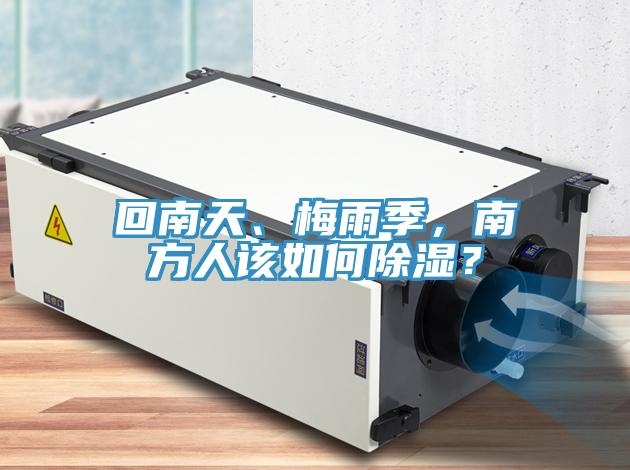 回南天、梅雨季，南方人該如何除濕？