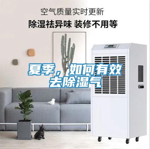 夏季，如何有效去除濕氣