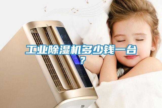 工業(yè)除濕機(jī)多少錢(qián)一臺(tái)？