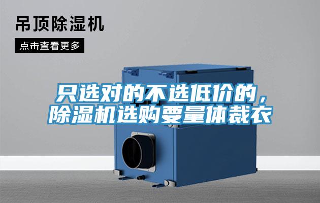 只選對(duì)的不選低價(jià)的，除濕機(jī)選購要量體裁衣