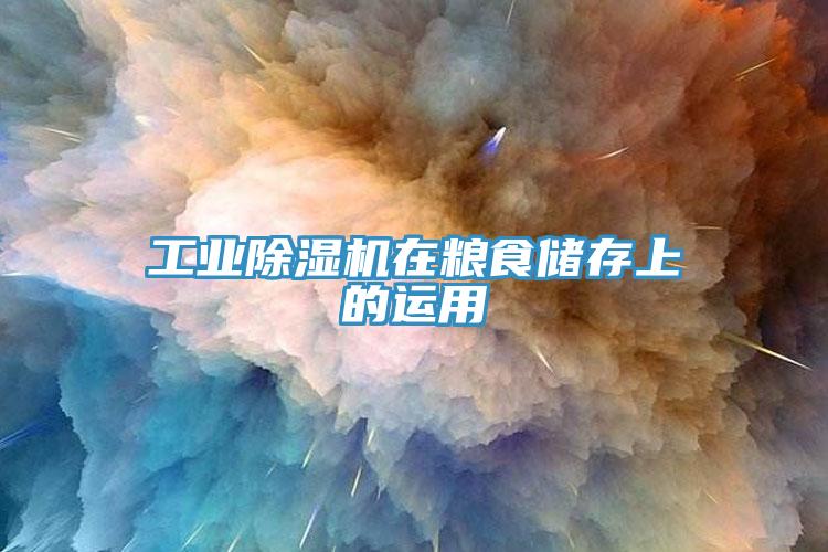 工業(yè)除濕機(jī)在糧食儲(chǔ)存上的運(yùn)用