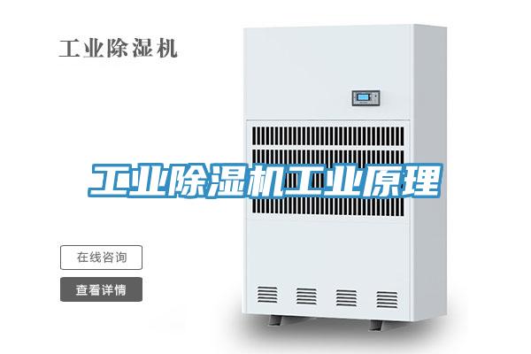 工業(yè)除濕機工業(yè)原理