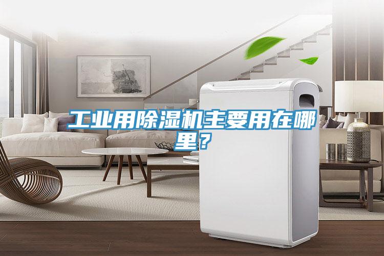 工業(yè)用除濕機主要用在哪里？