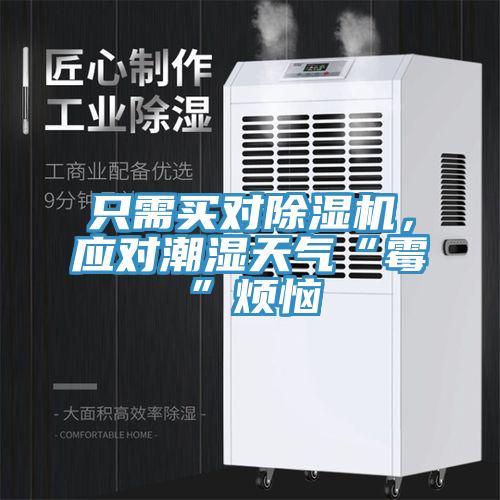 只需買對(duì)除濕機(jī)，應(yīng)對(duì)潮濕天氣“霉”煩惱