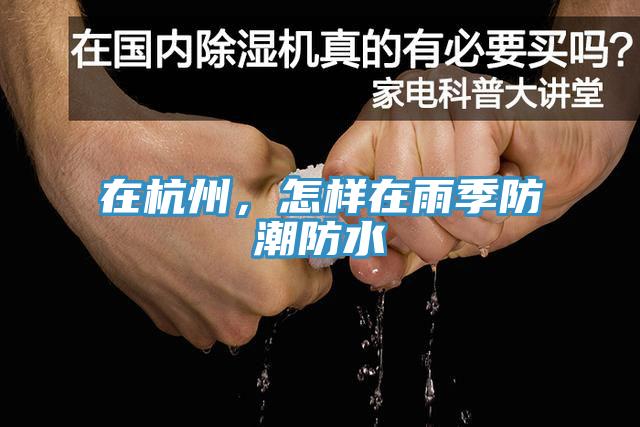 在杭州，怎樣在雨季防潮防水