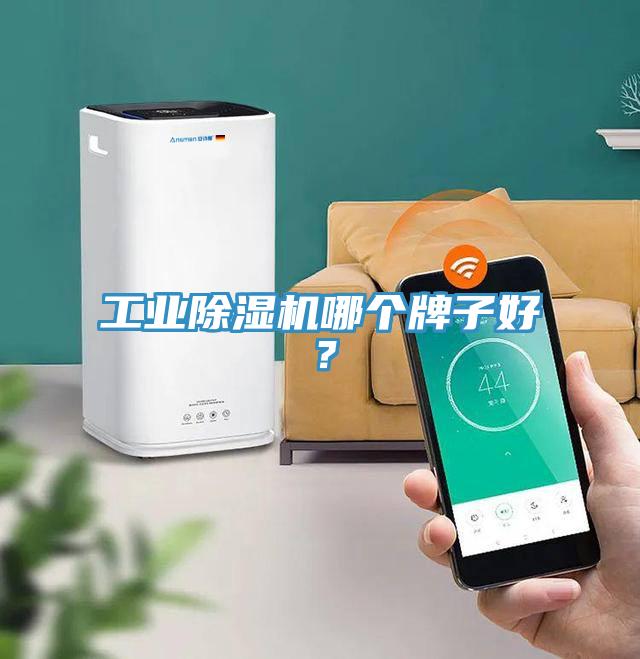 工業(yè)除濕機(jī)哪個牌子好？