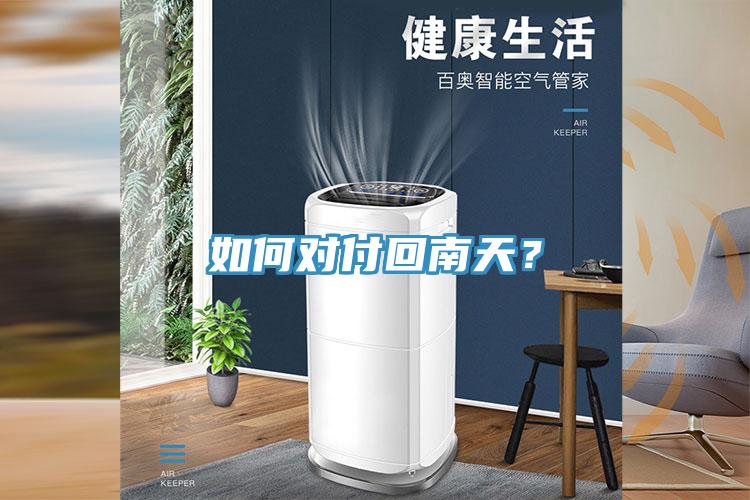 如何對付回南天？