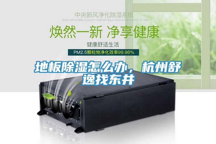 地板除濕怎么辦，杭州舒逸找東井