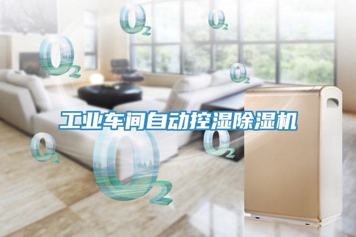 工業(yè)車間自動控濕除濕機
