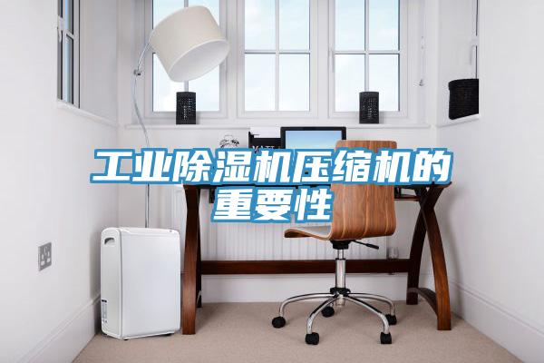 工業(yè)除濕機(jī)壓縮機(jī)的重要性