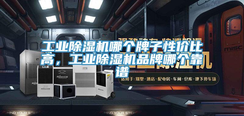 工業(yè)除濕機(jī)哪個(gè)牌子性價(jià)比高，工業(yè)除濕機(jī)品牌哪個(gè)靠譜