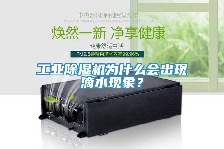工業(yè)除濕機為什么會出現(xiàn)滴水現(xiàn)象？