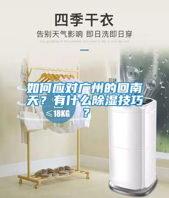 如何應(yīng)對廣州的回南天？有什么除濕技巧？