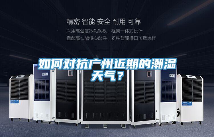 如何對抗廣州近期的潮濕天氣？