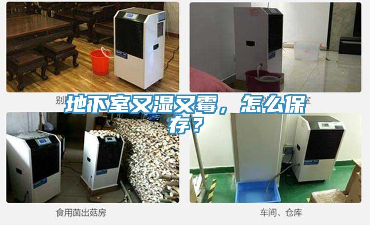 地下室又濕又霉，怎么保存？