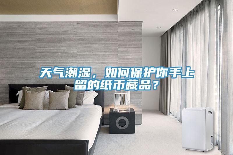 天氣潮濕，如何保護(hù)你手上留的紙幣藏品？