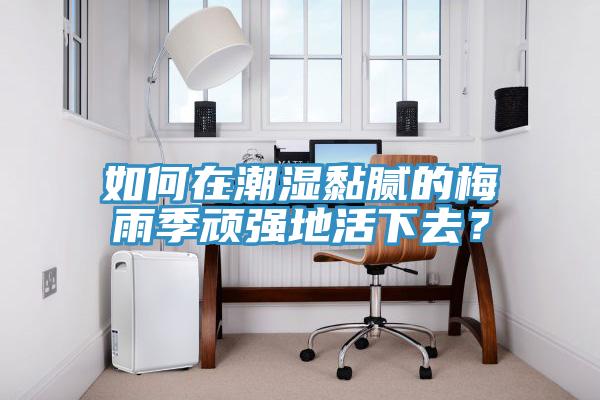 如何在潮濕黏膩的梅雨季頑強地活下去？
