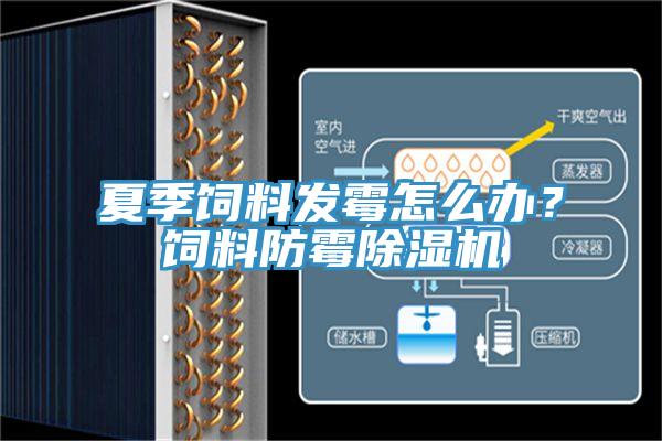 夏季飼料發(fā)霉怎么辦？飼料防霉除濕機(jī)