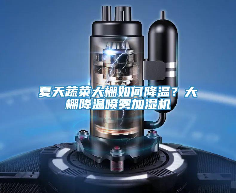 夏天蔬菜大棚如何降溫？大棚降溫噴霧加濕機(jī)