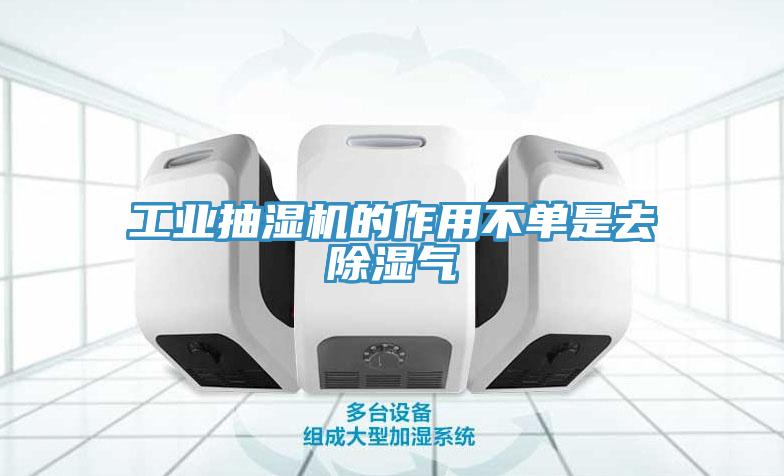 工業(yè)抽濕機(jī)的作用不單是去除濕氣