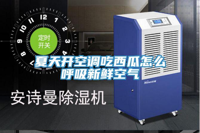 夏天開(kāi)空調(diào)吃西瓜怎么呼吸新鮮空氣