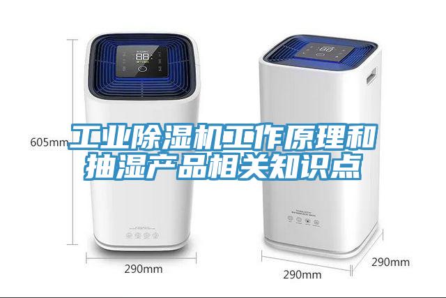 工業(yè)除濕機工作原理和抽濕產(chǎn)品相關(guān)知識點