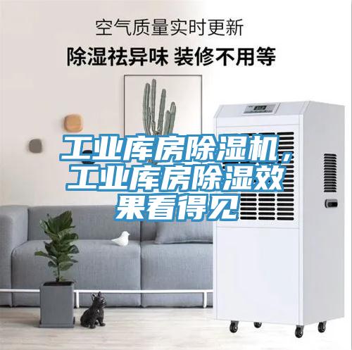 工業(yè)庫房除濕機(jī)，工業(yè)庫房除濕效果看得見