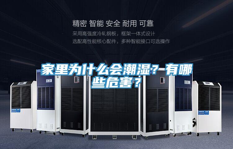 家里為什么會潮濕？有哪些危害？