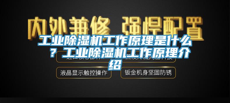 工業(yè)除濕機(jī)工作原理是什么 ？工業(yè)除濕機(jī)工作原理介紹