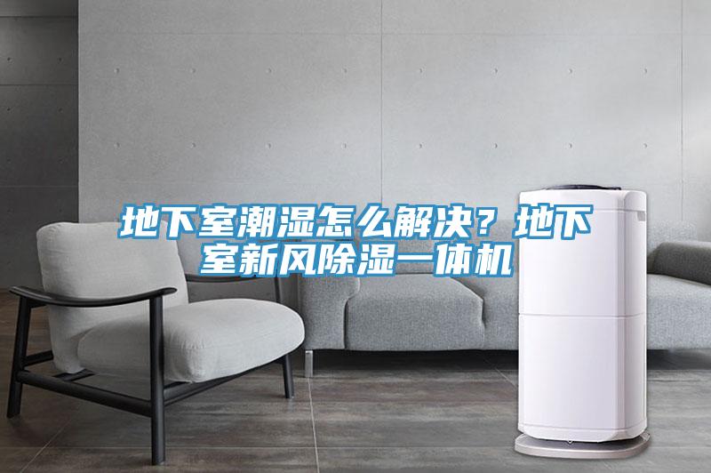 地下室潮濕怎么解決？地下室新風(fēng)除濕一體機(jī)