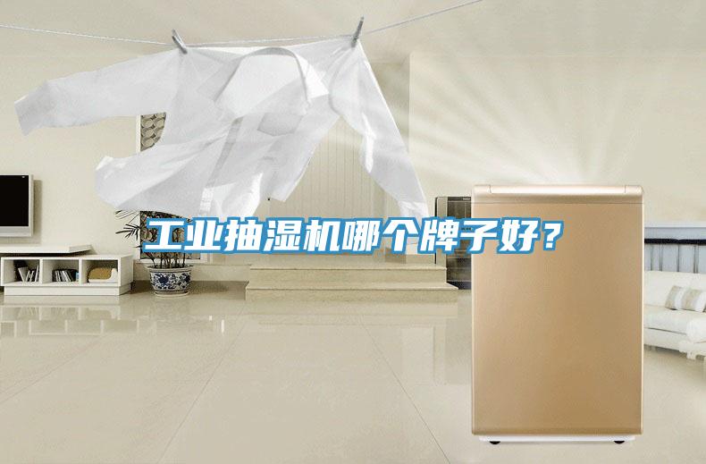 工業(yè)抽濕機(jī)哪個牌子好？